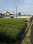 yama042.jpg