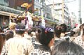 san208.jpg
